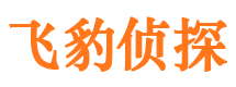 平南市私家侦探